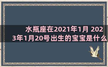 水瓶座在2021年1月 2023年1月20号出生的宝宝是什么星座